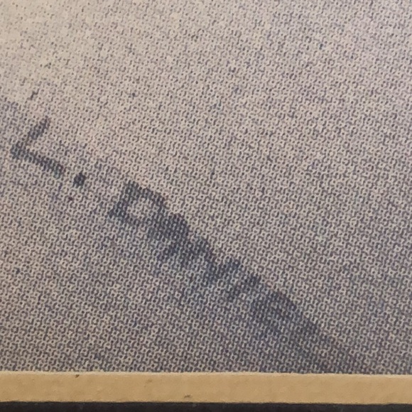 Blue Bird print by L. Daniel/ natural tone wood frame/ double matted/bird/straw - Picture 6 of 14